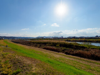 Fototapeta na wymiar 河川敷の風景
