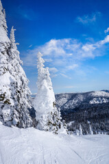 Winter Landscape on Big Mountain in Whitefish, Montana, USA