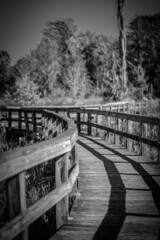 Grayscale shot a wooden walking bridge at Phinizy Swamp Nature Park in Augusta, Georgia