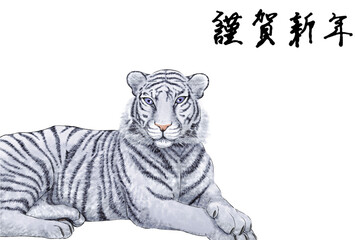 年賀状「ホワイトタイガー」（謹賀新年）横