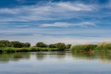 USA, Idaho. Teton River, willows and wetland near Driggs.