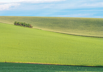 Idaho, Latah County. Spring farm fields