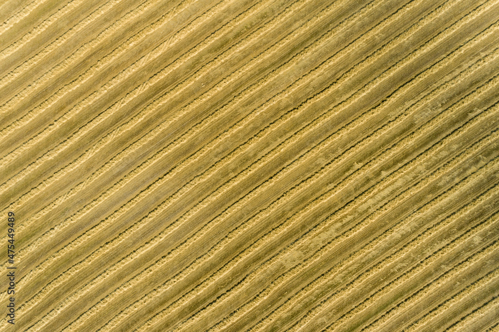 Sticker aerial view of rows of wheat straw before baling, marion county, illinois