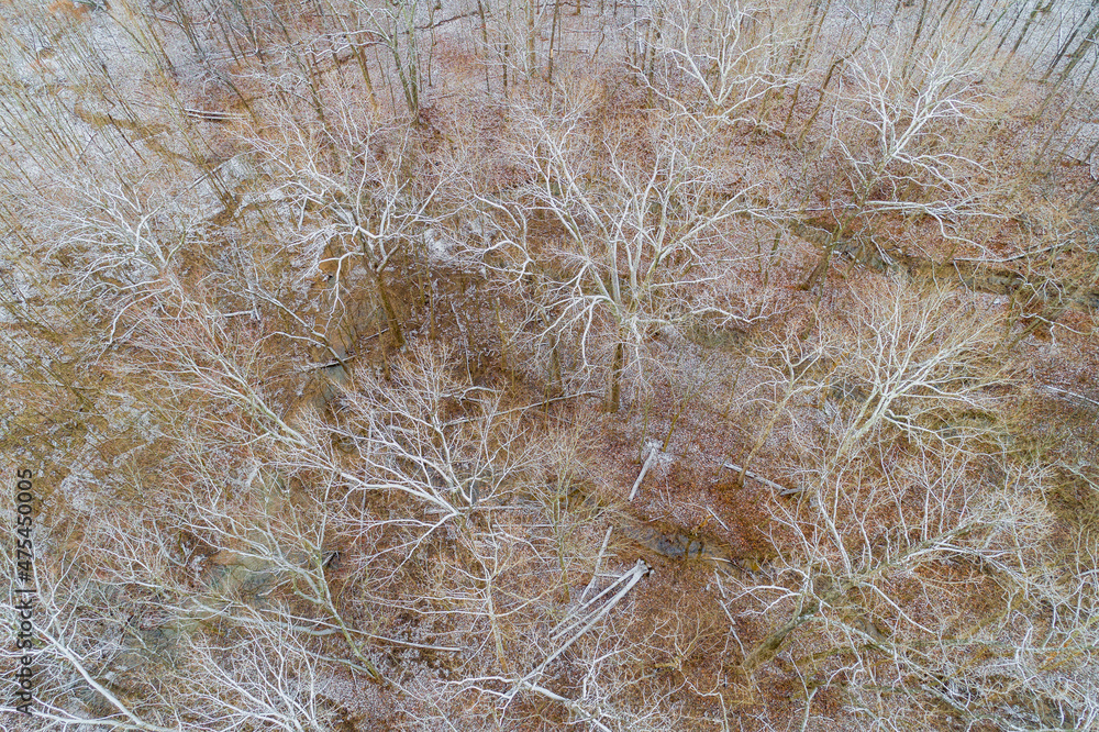 Sticker aerial view of a fresh snow over the forest, marion county, illinois