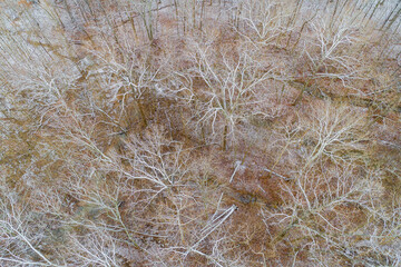 Aerial view of a fresh snow over the forest, Marion County, Illinois