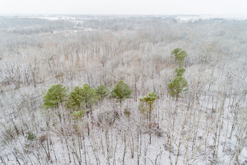 Aerial view of a fresh snow over the forest, Marion County, Illinois