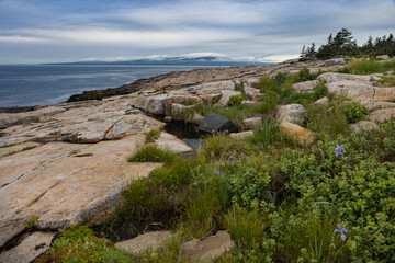 Fototapeta na wymiar Schoodic Point in Acadia National Park, Maine, USA