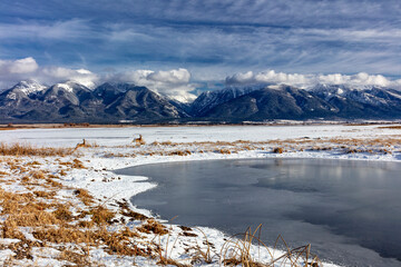 Whitetail deer and Wetlands pond in winter at Ninepipe National Wildlife Refuge near Ronan,...