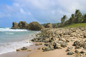 Mesmerizing view of a beautiful seascape in Barbado