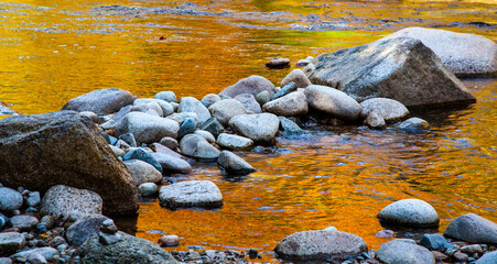 Fototapeta na wymiar USA, New Hampshire, White Mountains National Forest, Swift River, Golden Fall colors reflected in rocky river