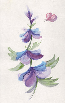 Flower and butterfly