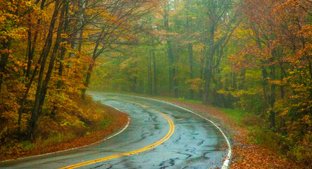 USA, New Hampshire, Sugar Hill wet and foggy morning along roadway in Autumn colors