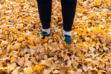 person's feet standing on the autumn orange and yellow leaves on the ground