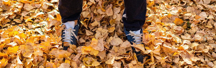 person's feet standing on the autumn orange and yellow leaves on the ground