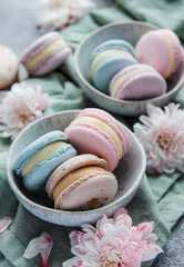 Beautiful colorful tasty macaroons on a concrete background