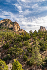 Fototapeta na wymiar USA, New Mexico, Sandia Mountains. Mountain and forest landscape.