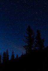 Fototapeta na wymiar Stargazing in the Pecos Wilderness, New Mexico