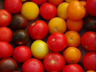 Fototapeta na wymiar closeup of colorful tomatoes at market