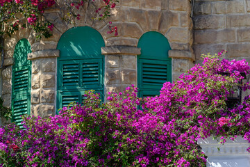 Villa in Malta with a lot of flowers
