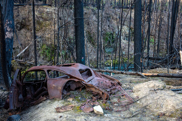 Remnants of vast forest fire along the North Umpqua River in the Umpqua National Forest, Oregon, USA