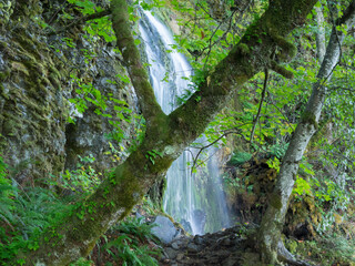 Oregon, Columbia River Gorge National Scenic Area, Lancaster Falls