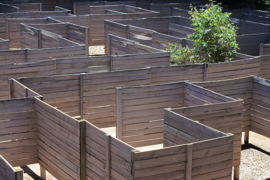 Empty Wooden Fences Maze And Lone Tree