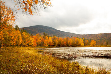 Fall foliage at Morey Pond, with a Mt. Kearsarge background.