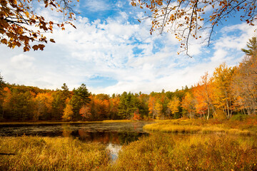 Fototapeta premium Brilliant fall foliage around Morey Pond in Wilmot, New Hampshire.