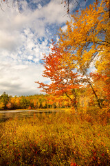 Brilliant fall foliage around Morey Pond in Wilmot, New Hampshire.