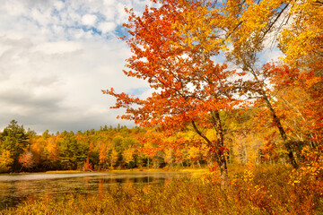 Brilliant fall foliage around Morey Pond in Wilmot, New Hampshire.