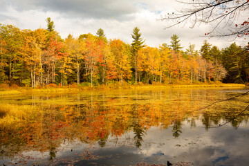 Brilliant fall foliage around Morey Pond in Wilmot, New Hampshire.