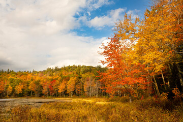 Brilliant fall foliage around Morey Pond in Wilmot, New Hampshire.