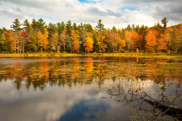 Brilliant fall foliage around Morey Pond in Wilmot, New Hampshire.