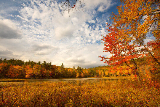 Brilliant fall foliage around Morey Pond in Wilmot, New Hampshire.