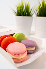 Opened Box of Macarons on a white table against the backdrop of a decorative flower in a pot.