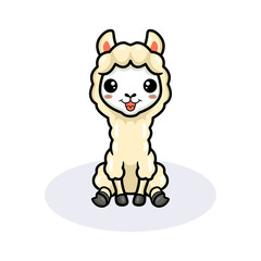 Cute little alpaca cartoon sitting