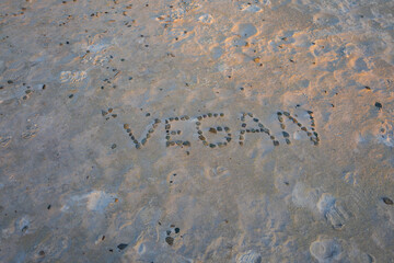 steine am strand mit dem wort vegan