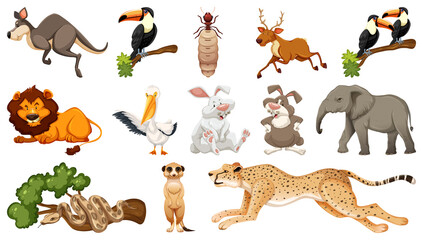 Obraz premium Set of different wild animals cartoon characters