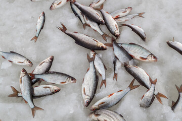 Winter fishing. Fish on ice. Lake, snow and fishing.