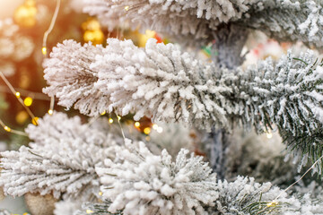 Christmas background with snow covered Christmas tree
