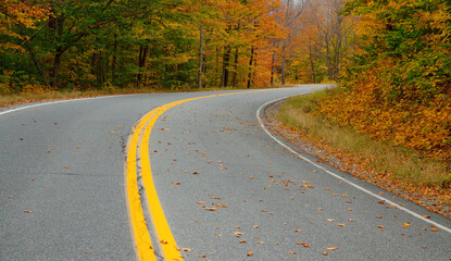 USA, New England, Vermont tree-lined roadway in Autumns Fall colors.