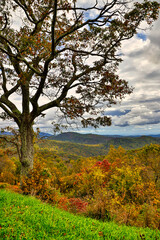 Fototapeta na wymiar USA, Virginia, Shenandoah National Park, fall color