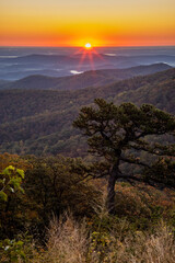 USA, Virginia, Shenandoah National Park, Sunrise along Skyline Drive in the Fall