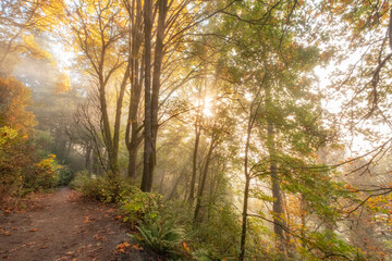 USA, Washington, Seattle. Autumn scenic in Lincoln Park.