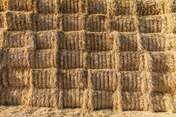 Pullman, Washington State, USA. Stack of hay bales in the Palouse hills.
