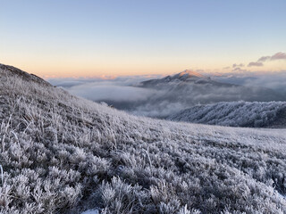 Beautiful winter view of the field in Poland, Bieszczady © Hubert Ciupinski/Wirestock