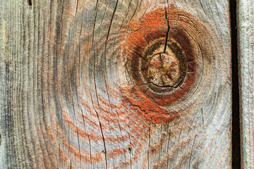 Latah, Washington State, USA. Knot in weathered wood on an old barn.