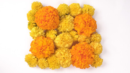 Yellow flowers of Marigold isolated on white background.