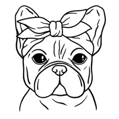 French bulldog black and white hand drawn portrait. French bulldog face in line. Dog head with bandana. Cute muzzle French Bulldog.