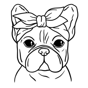 French bulldog black and white hand drawn portrait. French bulldog face in line. Dog head with bandana. Cute muzzle French Bulldog.
